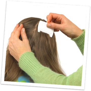 Läusekamm in den Haaren Läuse erkennen durch Läusekamm