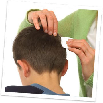 Haare werden mit Kamm geprüft Läuse erkennen mit Läusekamm