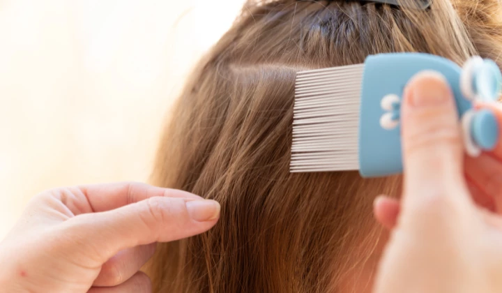 Haare auskämmen mit Läusekamm Frau kämmt Haare von Mädchen mit Läusekamm aus